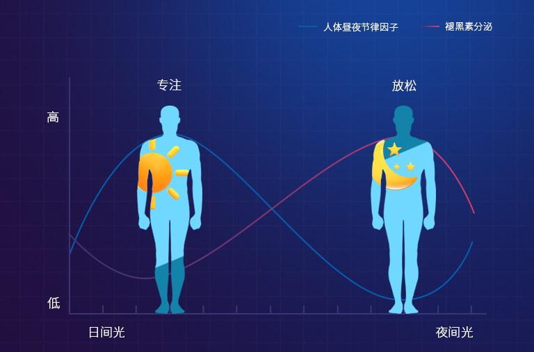 萊熾健康節(jié)律照明：守護(hù)你的生物鐘